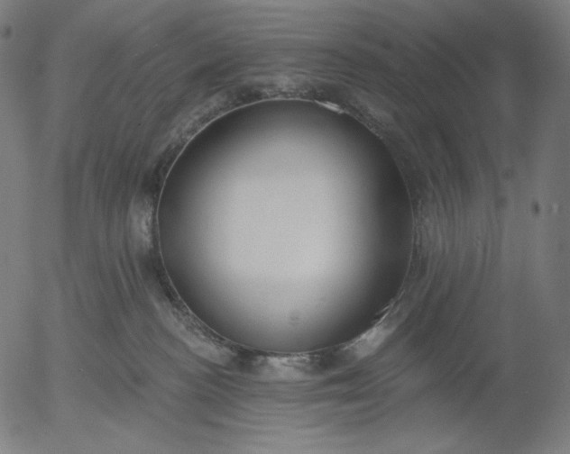 X0000056010188200509021739