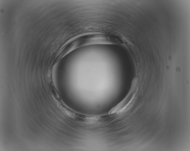 X0000056010192200509021739