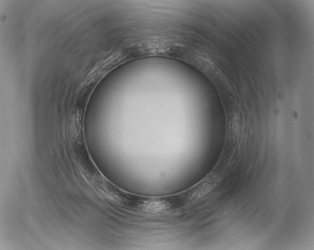 X0000056010218200509021738