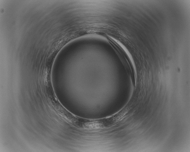 X0000056010219200509021738