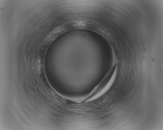 X0000056010223200509021738