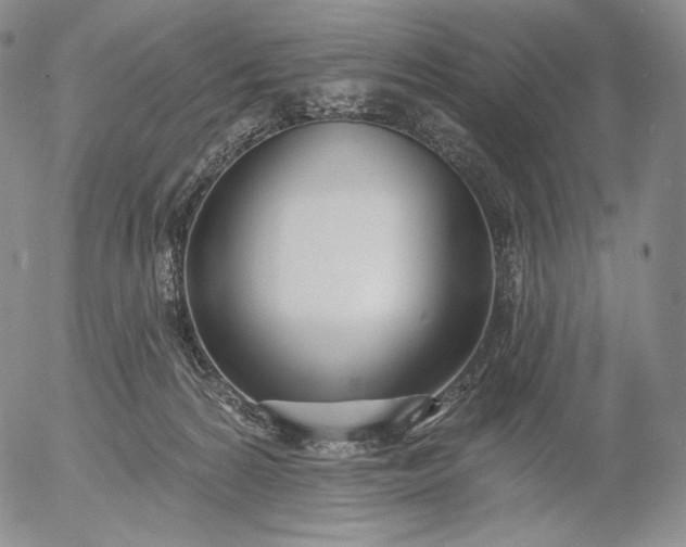 X0000056010224200509021738