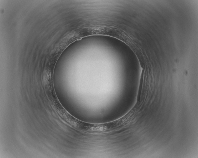 X0000056010225200509021738