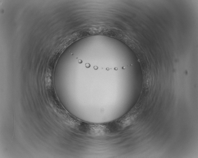 X0000056010226200509021738