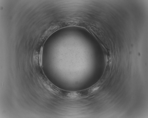 X0000056010231200509021738