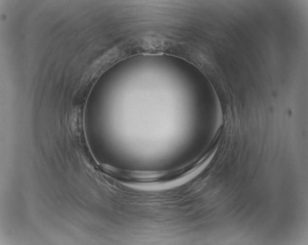 X0000056010233200509021738