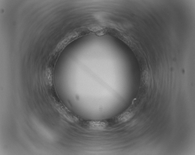 X0000056010234200509021738