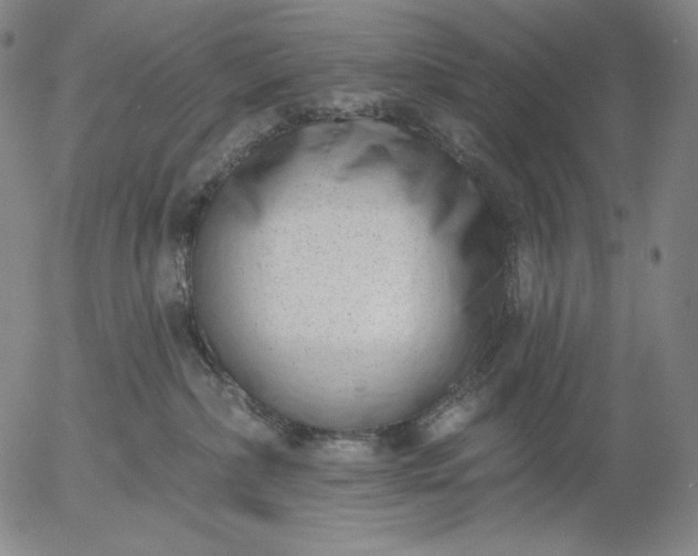 X0000056010236200509021738