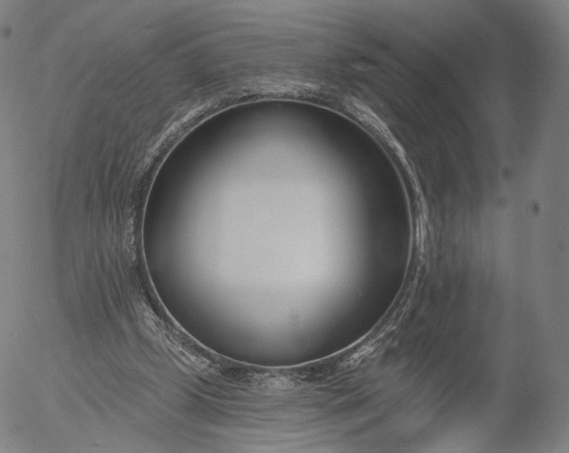 X0000056010249200509021737