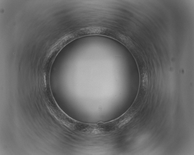 X0000056010254200509021737