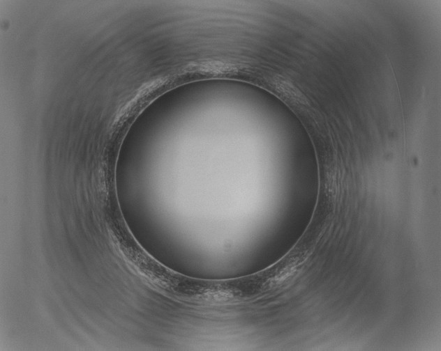 X0000056010256200509021737