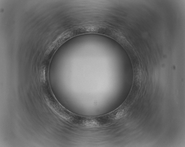 X0000056010262200509021737