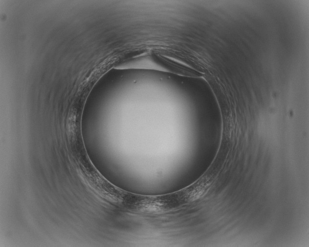 X0000056010263200509021737