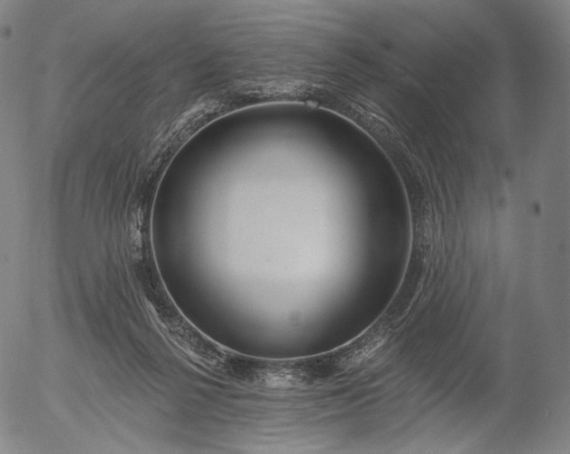 X0000056010264200509021737
