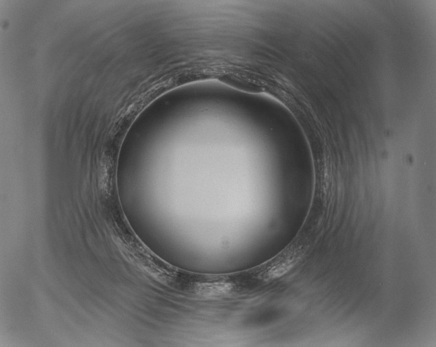 X0000056010266200509021737