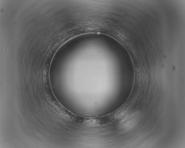 X0000056010269200509021737