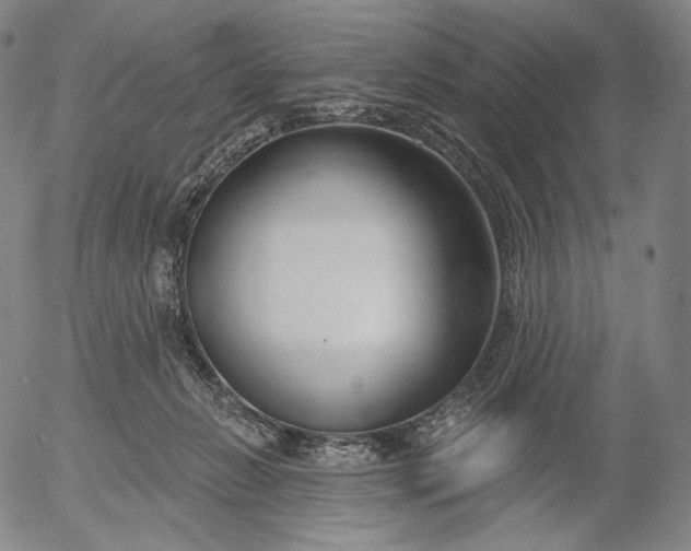 X0000056010270200509021737
