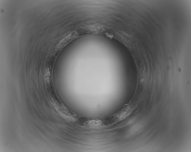 X0000056010279200509021738