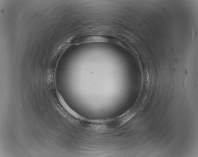 X0000056010284200509021738