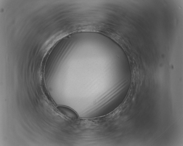X0000056010290200509021737