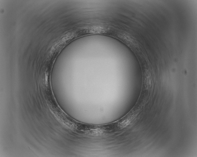 X0000056010310200509021737