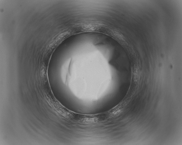 X0000056010314200509021737