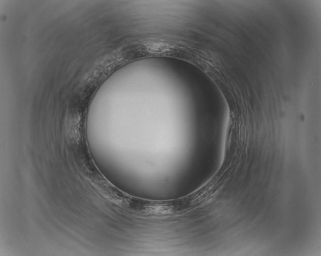 X0000056010319200509021736