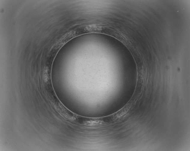 X0000056010323200509021736
