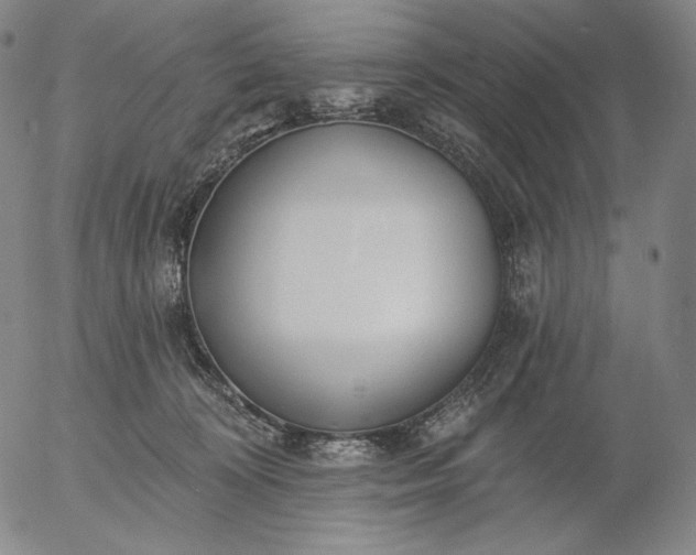 X0000056010324200509021736
