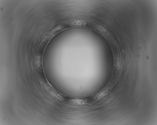 X0000056010326200509021736