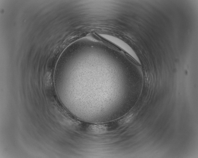 X0000056010327200509021736