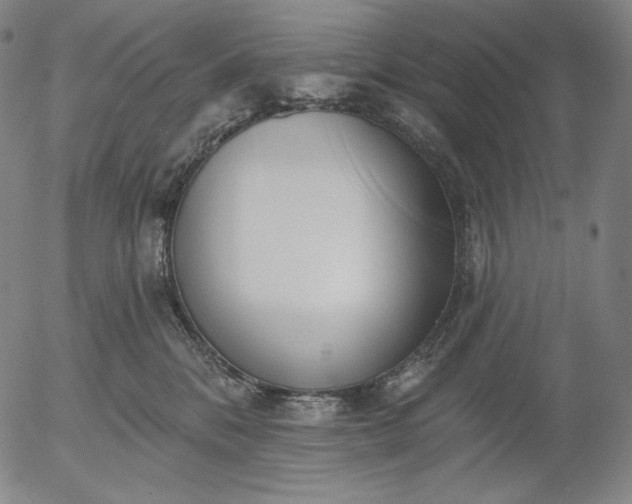 X0000056010328200509021736