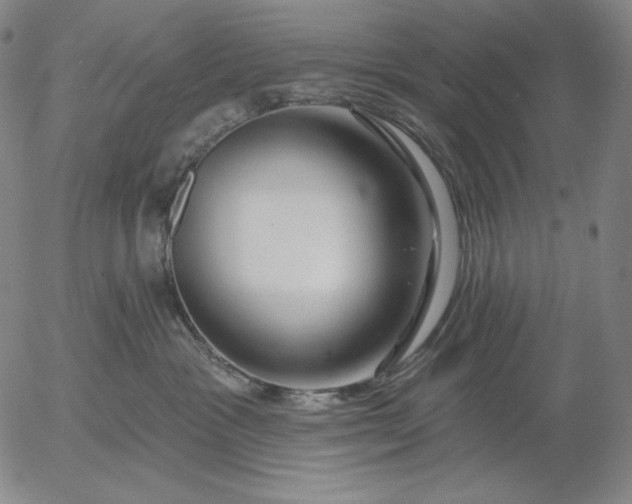 X0000056010333200509021736