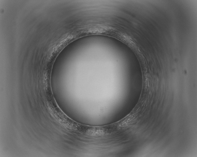 X0000056010354200509021736