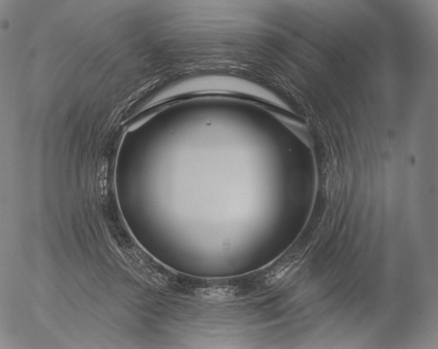 X0000056010356200509021736