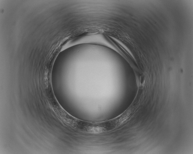 X0000056010360200509021736