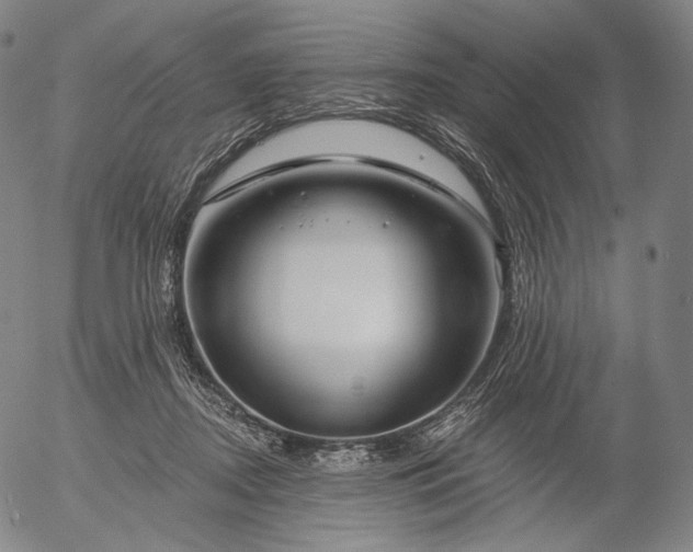 X0000056010362200509021736