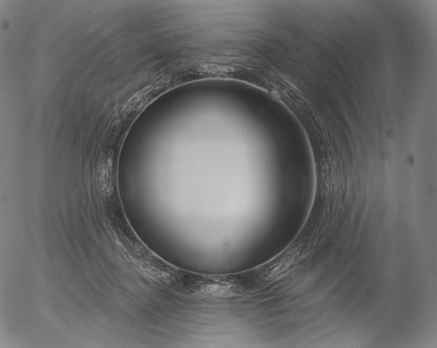 X0000056010364200509021736