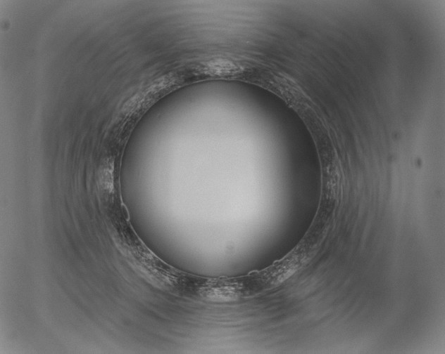 X0000056010368200509021736