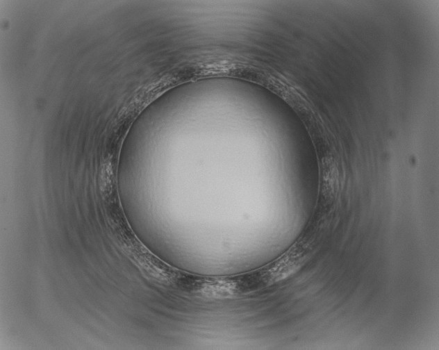 X0000056010369200509021736