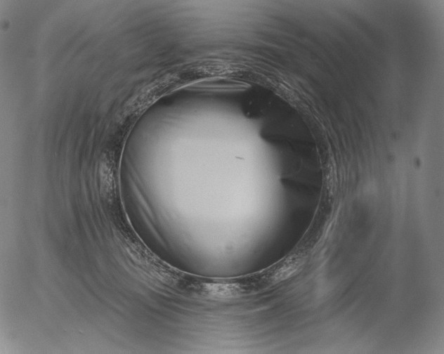 X0000056010371200509021736