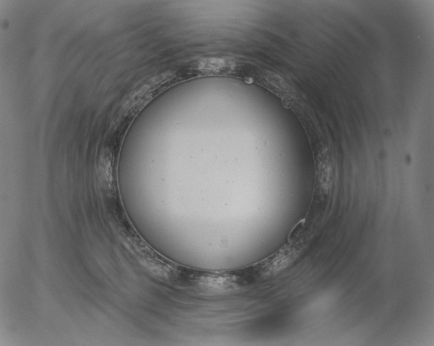 X0000056010375200509021736
