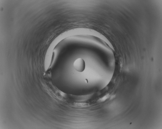 X0000056010380200509021736