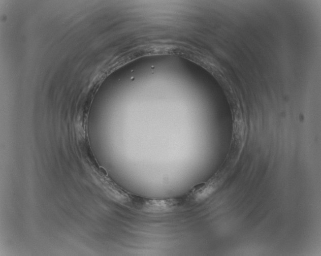 X0000056010381200509021736
