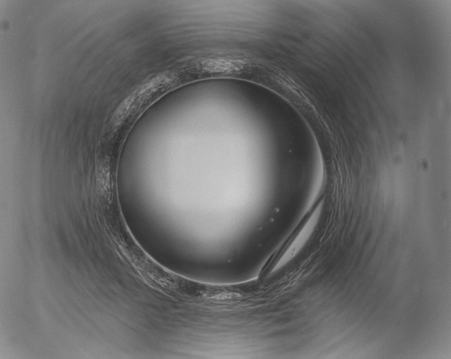 X0000056010407200509021735