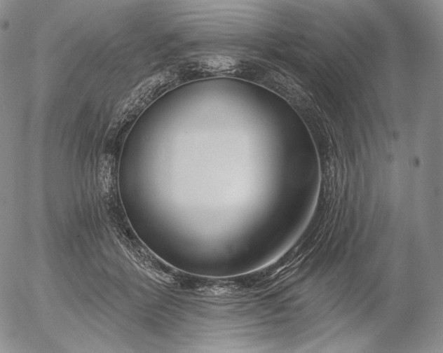 X0000056010412200509021735