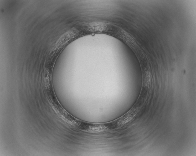 X0000056010414200509021735
