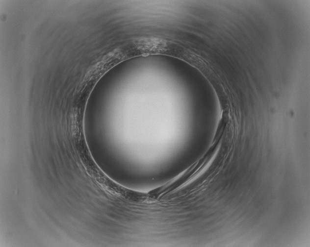 X0000056010416200509021735