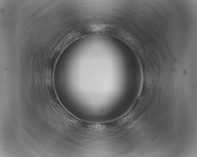 X0000056010421200509021735