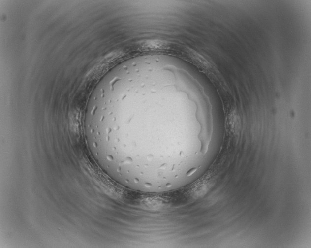 X0000056010423200509021735